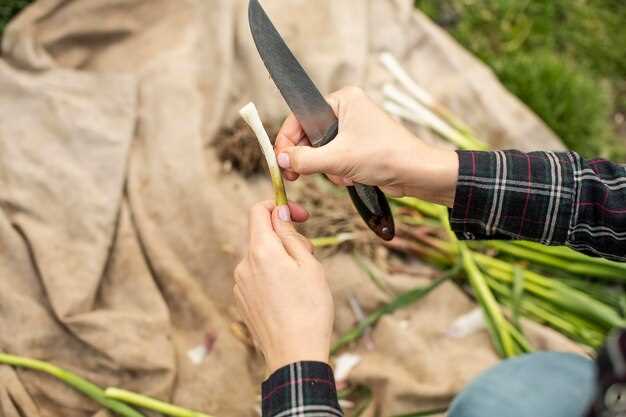 Снятие старой гранаты